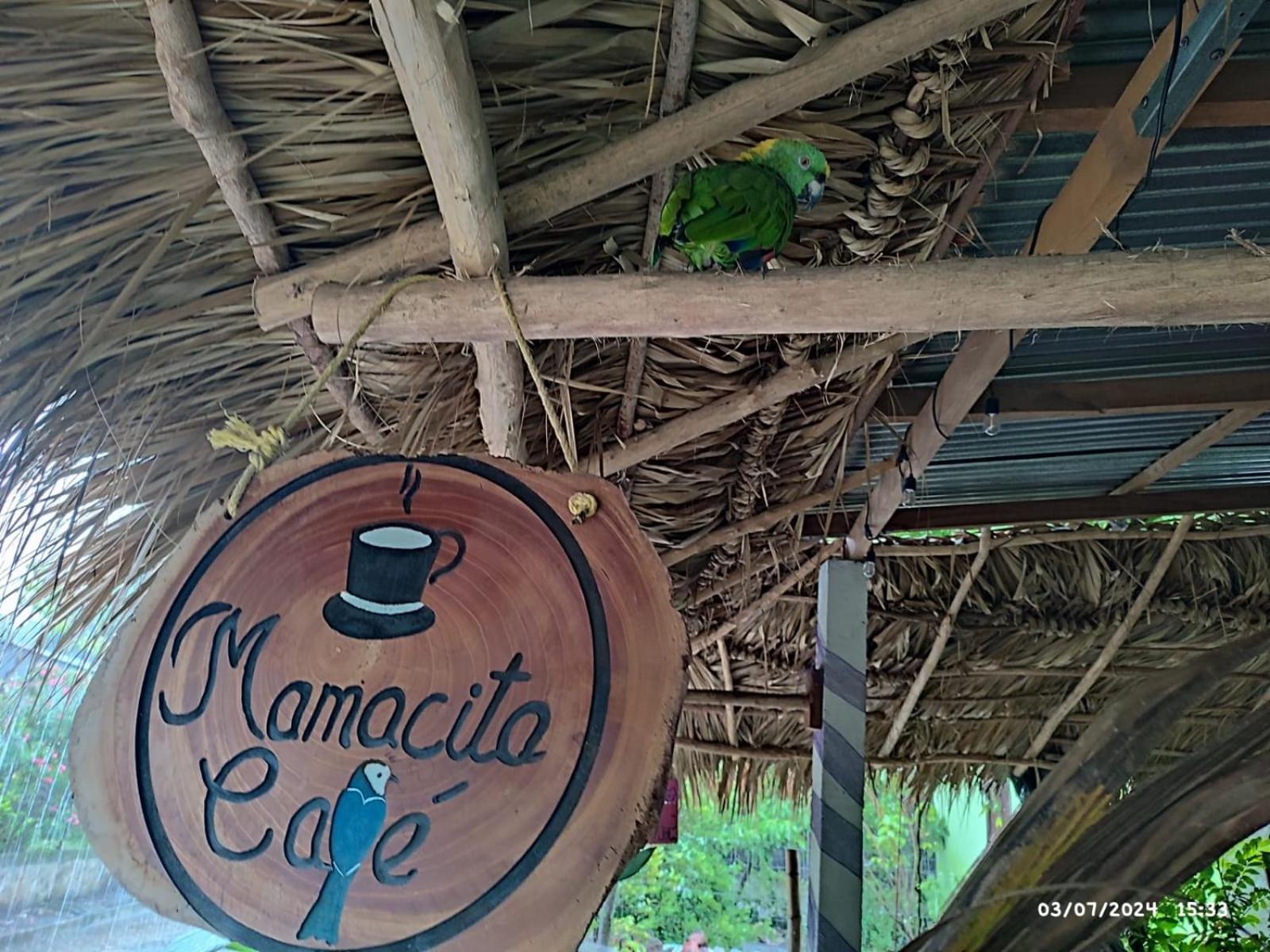 Mamacita Cafe House Hotel Moyogalpa Bagian luar foto