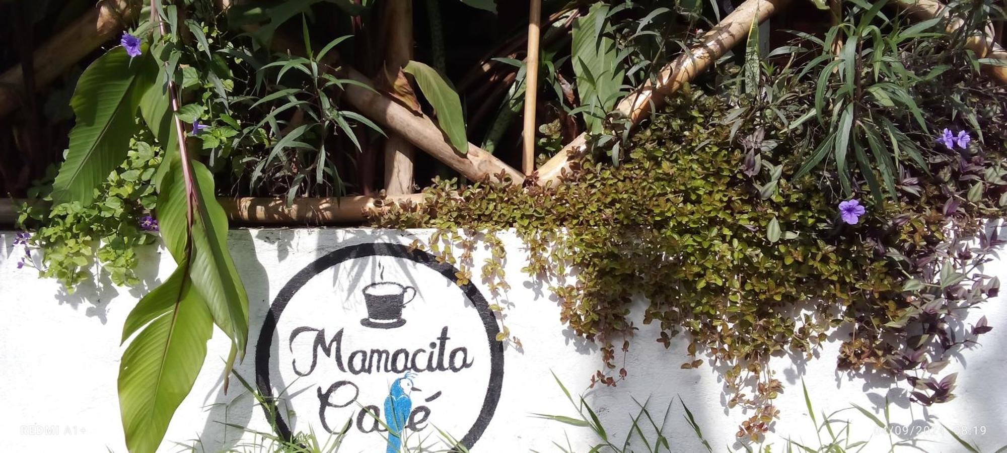 Mamacita Cafe House Hotel Moyogalpa Bagian luar foto